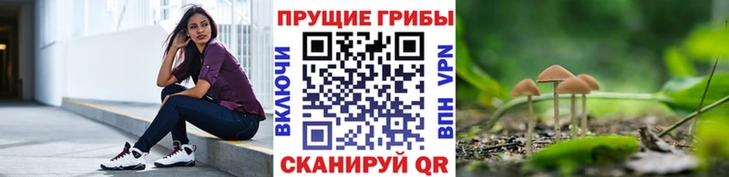 мега ссылка Шали Галлюциногенные грибы MAGIC MUSHROOMS